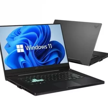 ASUS GAMING FX516PC-HN004W